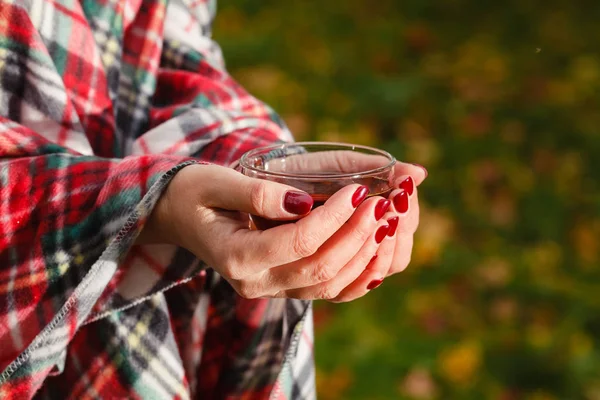 Erkek bir çay sonbahar parkta tutar.
