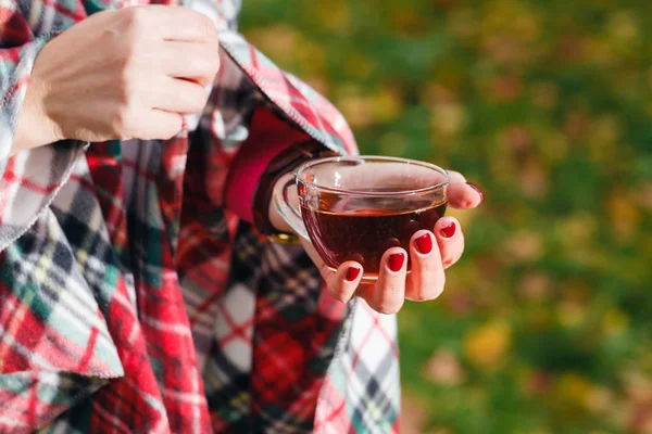 İçecek sıcak çay ve sonbahar ormanda açık yürüyüş