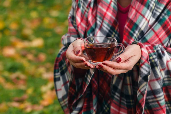 İçecek sıcak çay ve sonbahar ormanda açık yürüyüş