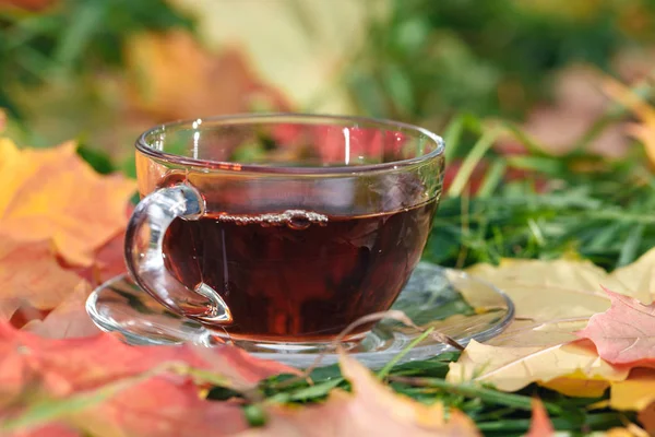 Weibchen im Karo trinken heißen Tee im Park — Stockfoto