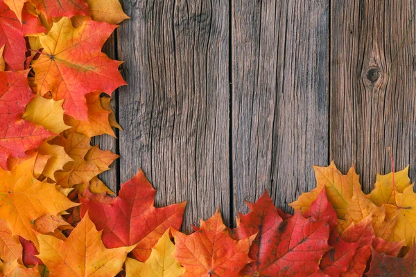 Na podzim pozadí s maple listy na dřevo stůl — Stock fotografie