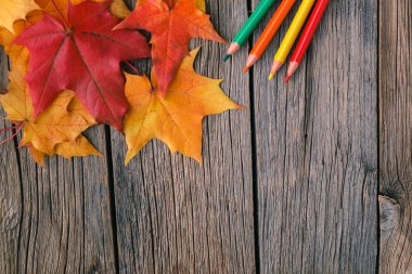 Sanat işyerinde Sonbaharda akçaağaç yaprakları.