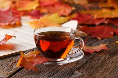 Sanat işyerinde Sonbaharda akçaağaç yaprakları.