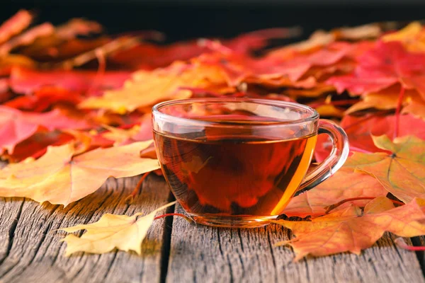 Fall creative art concept, maple leaves on table — Stock Photo, Image