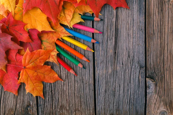 Sonbahar arka plan ile akçaağaç ahşap masa üzerinde bırakır