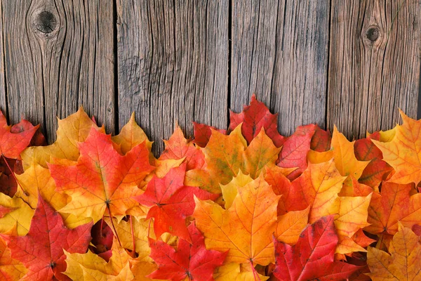 Fond d'automne avec feuilles d'érable sur table en bois — Photo