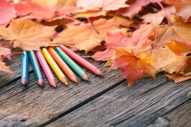 Sanat işyerinde Sonbaharda akçaağaç yaprakları.