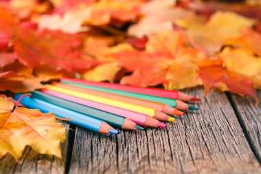 Yaratıcı arka plan woth akçaağaç yaprakları