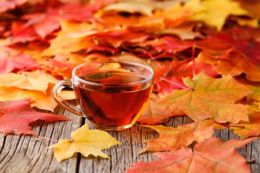 Sonbahar arka plan ile akçaağaç ahşap masa üzerinde bırakır