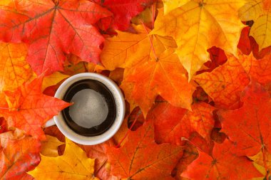 Sonbahar arka plan ile akçaağaç ahşap masa üzerinde bırakır