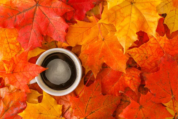 Herbst Hintergrund mit Ahornblättern auf Holztisch — Stockfoto