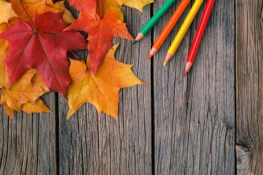 Yaratıcı arka plan woth akçaağaç yaprakları