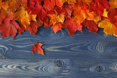 Ahşap arka plan üzerinde sonbahar yaprakları