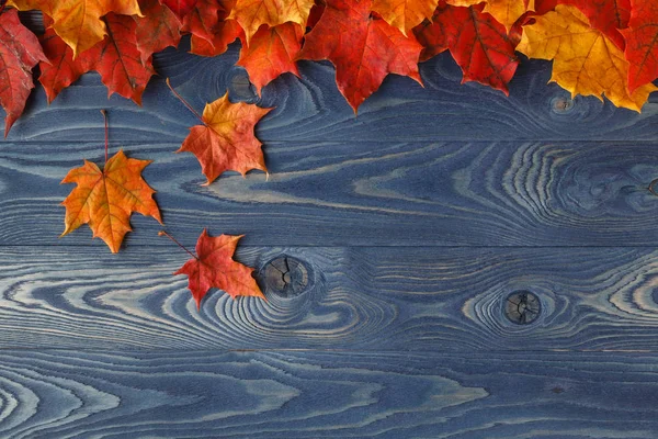 Фоновая рамка осенью с кленовыми листьями на голубом — стоковое фото
