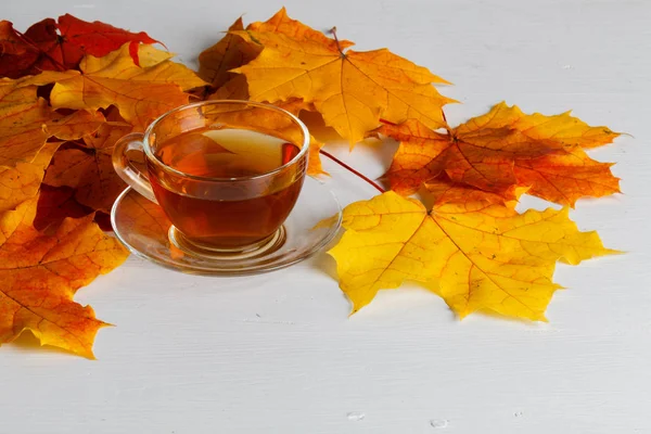 Tasse Tee mit Herbstblättern — Stockfoto