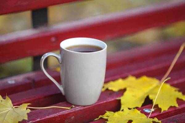 Nahaufnahme Bild der Kaffeetasse in bunten Ahornblättern auf hölzernen b — Stockfoto