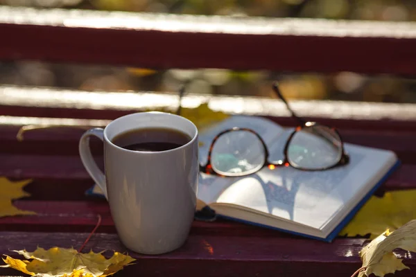 A book with colored leaves embedded in it lies on a bench in the — Stock Photo, Image