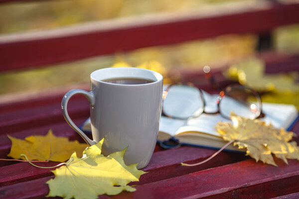 Old book on the bench in autumn park