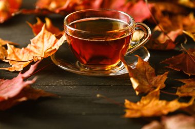 Fincan çay ayakta pencere ile sonbahar yaprakları