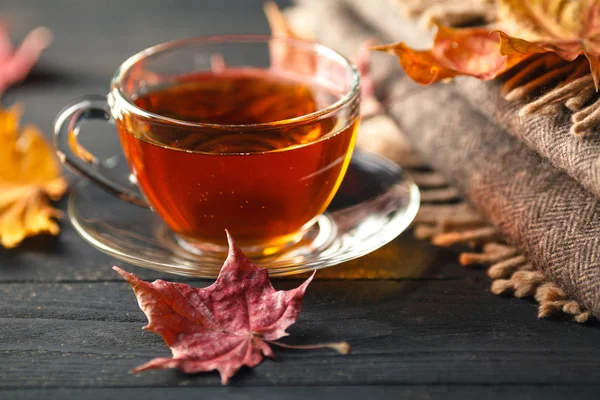 Herbstmorgen mit Teetasse — Stockfoto