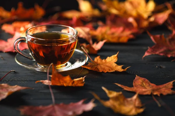 Herbstsaison, Freizeit- und Teezeitkonzept. — Stockfoto