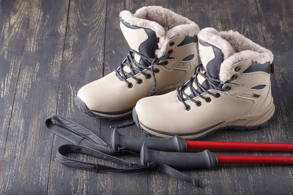 Pair of weather proof snow boots — Stock Photo, Image