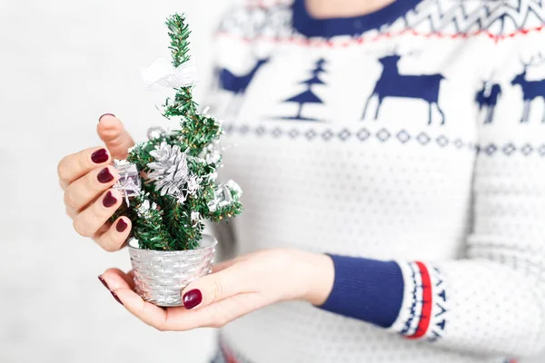 Mujer sosteniendo un pequeño árbol de Navidad en sus manos — Foto de Stock