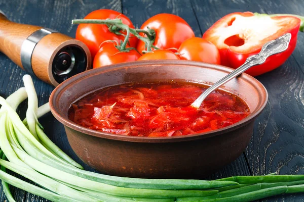 Tradicional ucraniano sopa de borscht de verduras rusas en el viejo — Foto de Stock