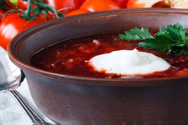 Borsch romeno e russo tradicional - sopa de legumes com pa — Fotografia de Stock