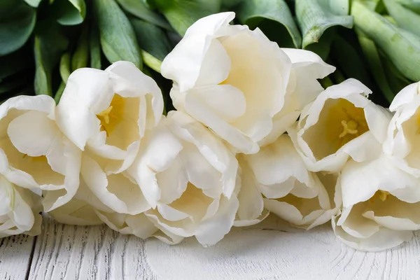Marco para tarjeta con tulipanes blancos naturales —  Fotos de Stock
