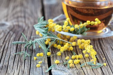 Sarı bahar mimoza çiçeği