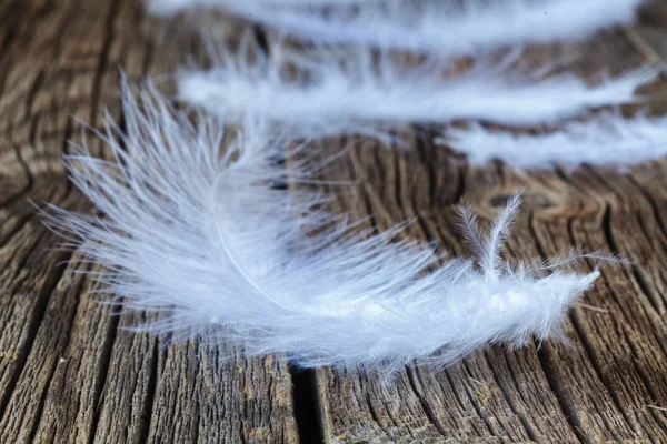 Light white feather on wooden table — Stock Photo, Image