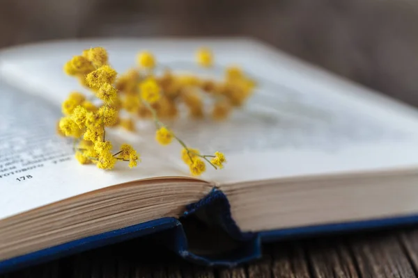 Sping flores e livros abertos na mesa — Fotografia de Stock