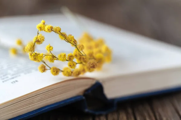 Primavera tempo de educação com flores e livro — Fotografia de Stock