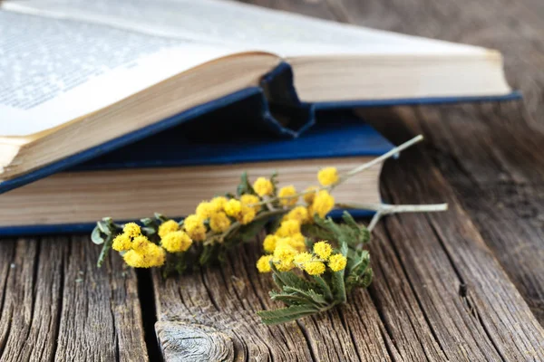 Primavera tiempo de educación con flores y libro —  Fotos de Stock