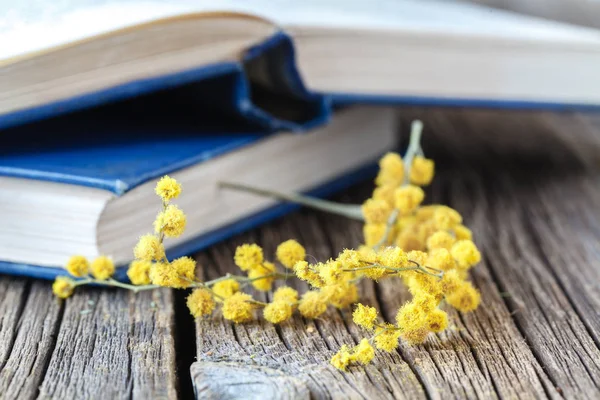 Sping flores e livros abertos na mesa — Fotografia de Stock