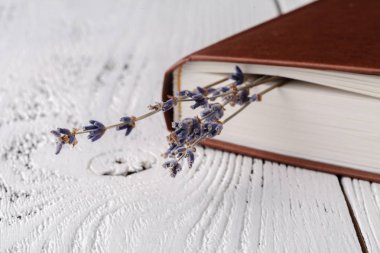 Bu anılar, Kuru lavanta ve kitap bir buket