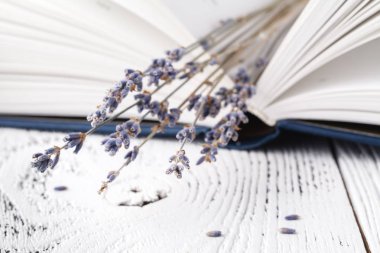 Bu anılar, Kuru lavanta ve kitap bir buket