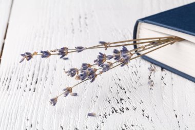 güzel anılar, Kuru lavanta ve çim ve kitap bir buket olduğunu