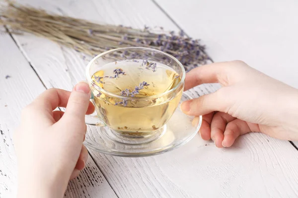 Kadın el ele tutuşarak cam Kupası'nda aromatik bitki çayı — Stok fotoğraf