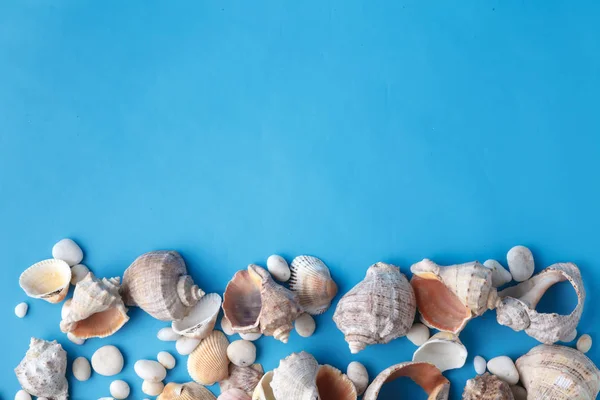 Marco de vacaciones de mar con concha en azul — Foto de Stock