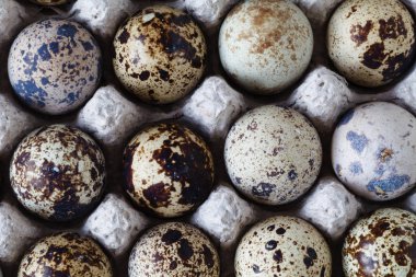 Organik bıldırcın yumurtası rustik ahşap tablo