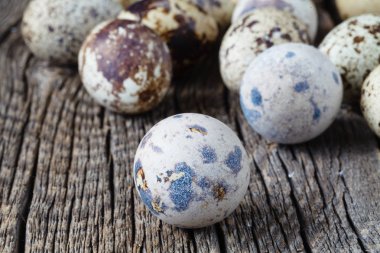 Organik bıldırcın yumurtası rustik ahşap tablo