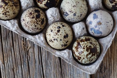 Karton ambalajda bıldırcın yumurtası..