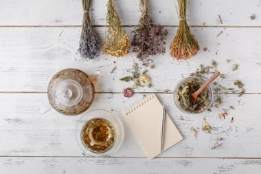 Tıbbi otlar kurutma: echinacea, melissa, papatya, dereotu