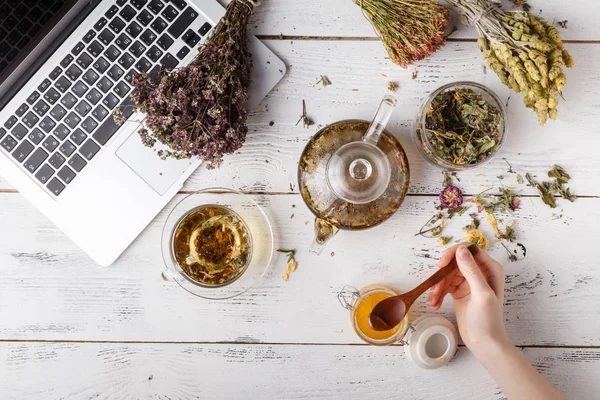 Taza de té saludable, miel, hierbas curativas, surtido de té de hierbas y bayas en la mesa. Vista superior. Medicina herbal . — Foto de Stock