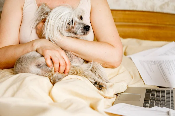 Ev bilgisayarında uzaktan çalışan bir kadının oturma odasında köpek yavrusuyla birlikte oturduğu yakın plan fotoğrafı..