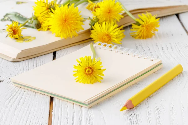 Gyermekláncfű Virág Gyűjtemény Egy Notebook — Stock Fotó