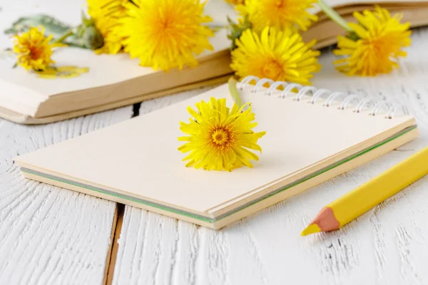 Gyermekláncfű Virág Gyűjtemény Egy Notebook — Stock Fotó