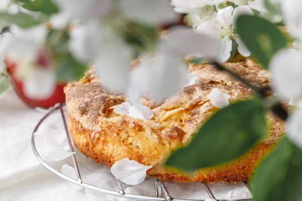 Taze pişmiş elmalı turta masada, tabakta parça parça.